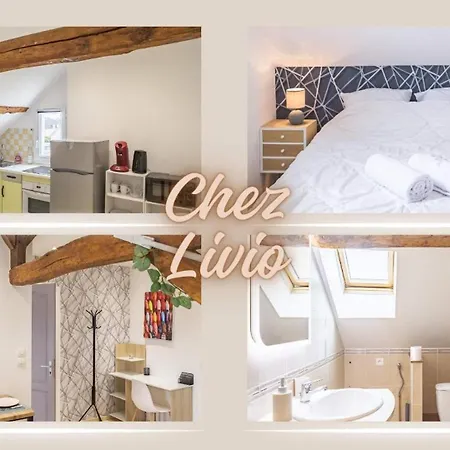 Apartment Chez Livio - Parking Prive - Proche Hopital Veil - Actif Troyes