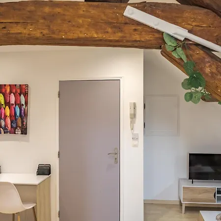 Chez Livio - Parking Prive - Proche Hopital Veil - Actif Apartment
